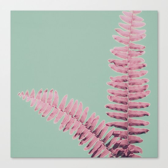 PINK FERNS Canvas Print