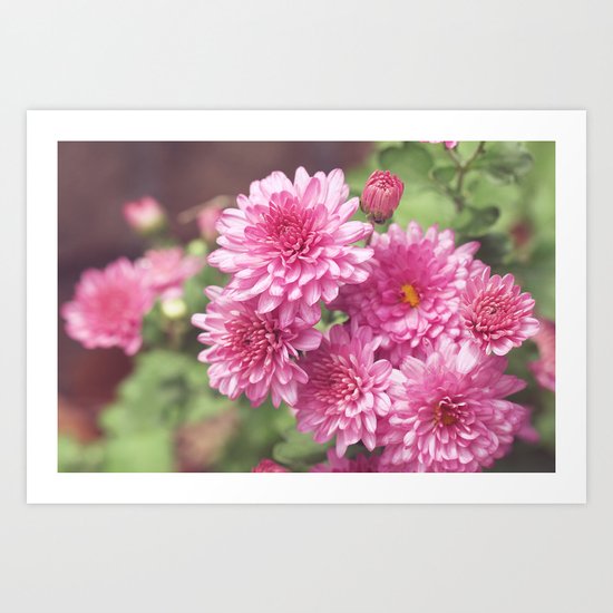 Frilly Art Print