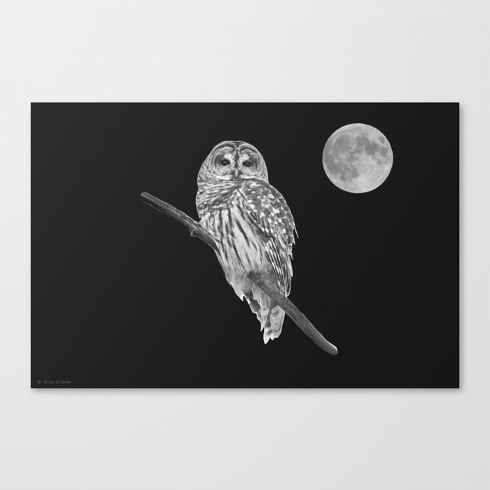 Owl, See the Moon: Barred Owl (bw) Canvas Print