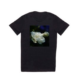 White Roses with hints of blue in the background STUNNING Photograph T Shirt | Dreamy, Photo, Petals, Rose, Tearose, Buds, Rosebuds, Soft, Backlit, Summer 