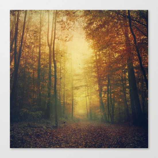 Autumn Morning Mood Canvas Print