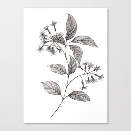 Lilac Ink Sketch Canvas Print
