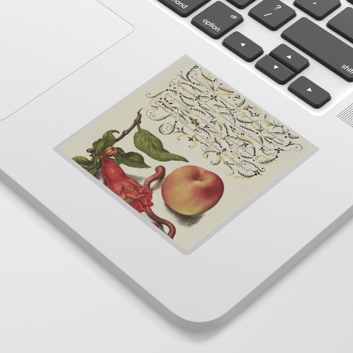 Vintage calligraphic art with flowers and peach Sticker