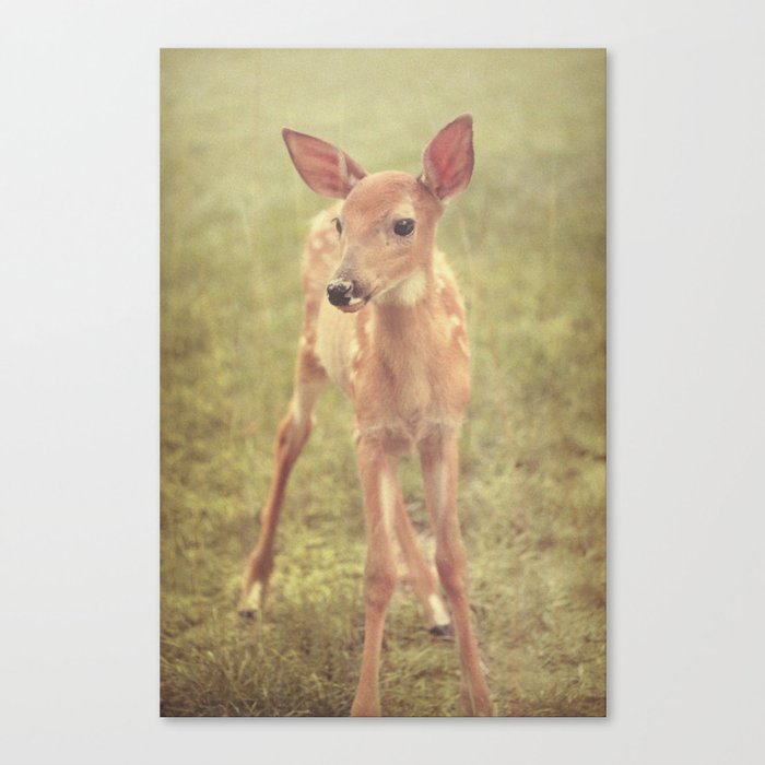 Bambi Canvas Print