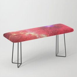 Star Seed Universe Bench