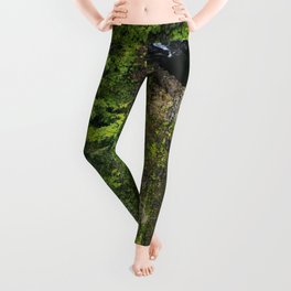 Just Beyond the No Trespassing Sign - Crooked Tropical Waterfall Leggings