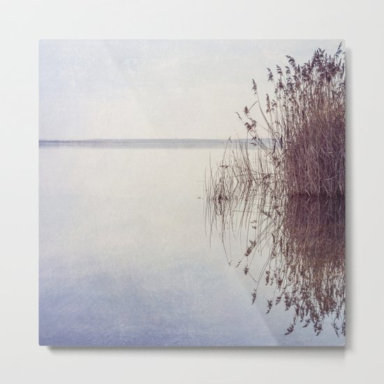 The Lake Metal Print