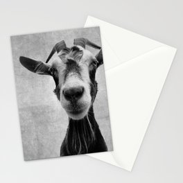 Goat Portrait in Black and White Stationery Card