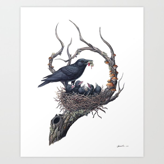 American Crow Art Print