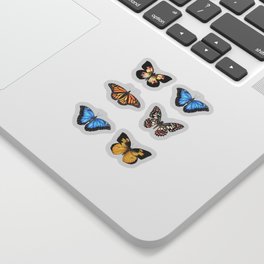 Butterfly Collection Sticker