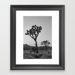 Joshua Tree Black and White Framed Art Print