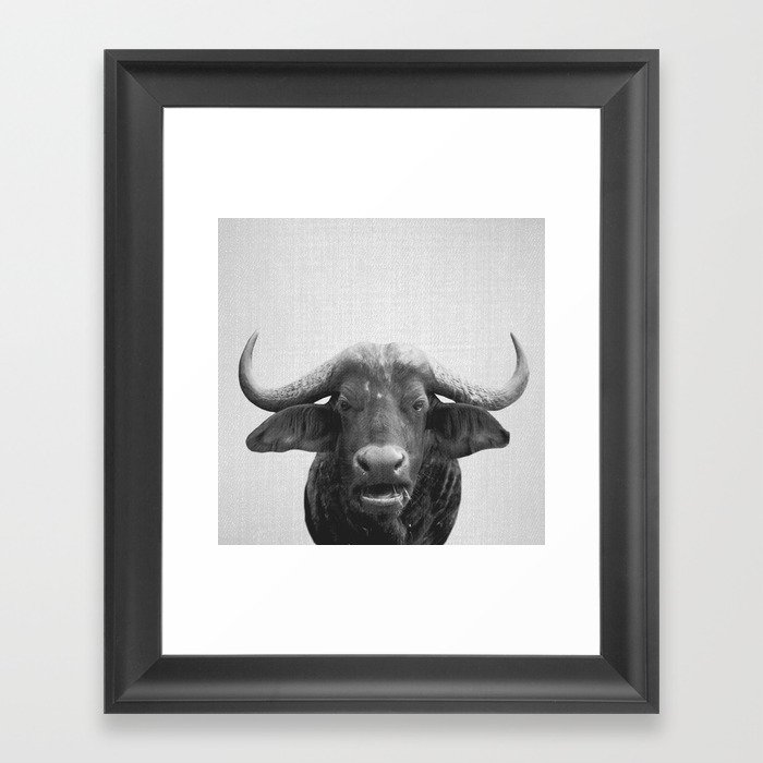 African Buffalo - Black & White Framed Art Print