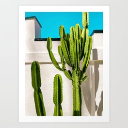 South Pasadena Cactus Art Print