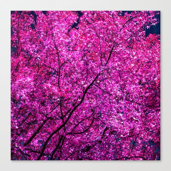 violet tree IV Canvas Print