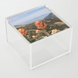 Valley behind the Flowers Acrylic Box