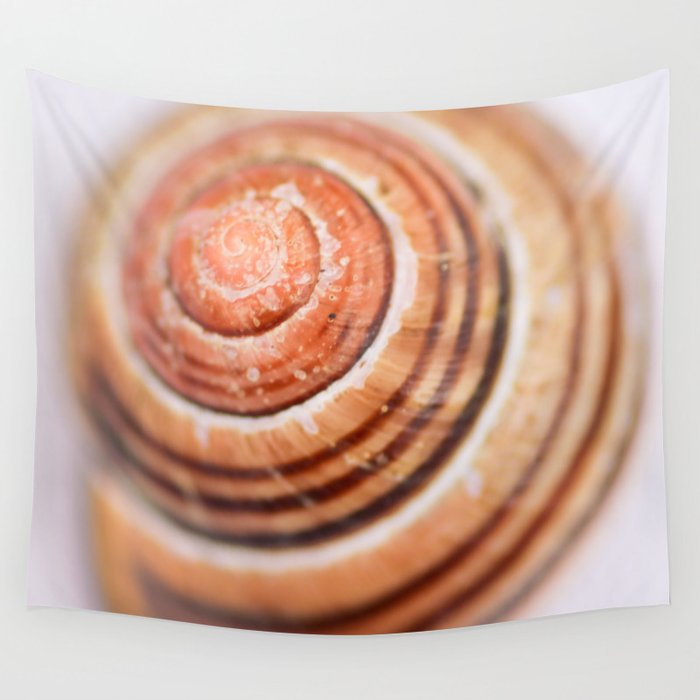 Snail Shell Wall Tapestry