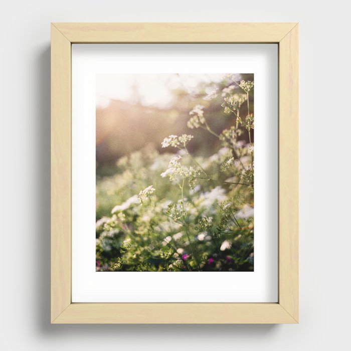 Analogue Baby's Breath Recessed Framed Print