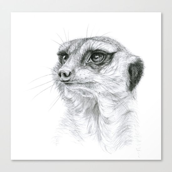 Meerkat G035 Canvas Print