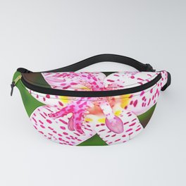 Toad Lily (Tricyrtis hirta) Fanny Pack | Toadlily, Flower, Botanical, Spottedlily, Pink, Tricyrtishirta, Thecreativeminds, Photo, Floral, White 