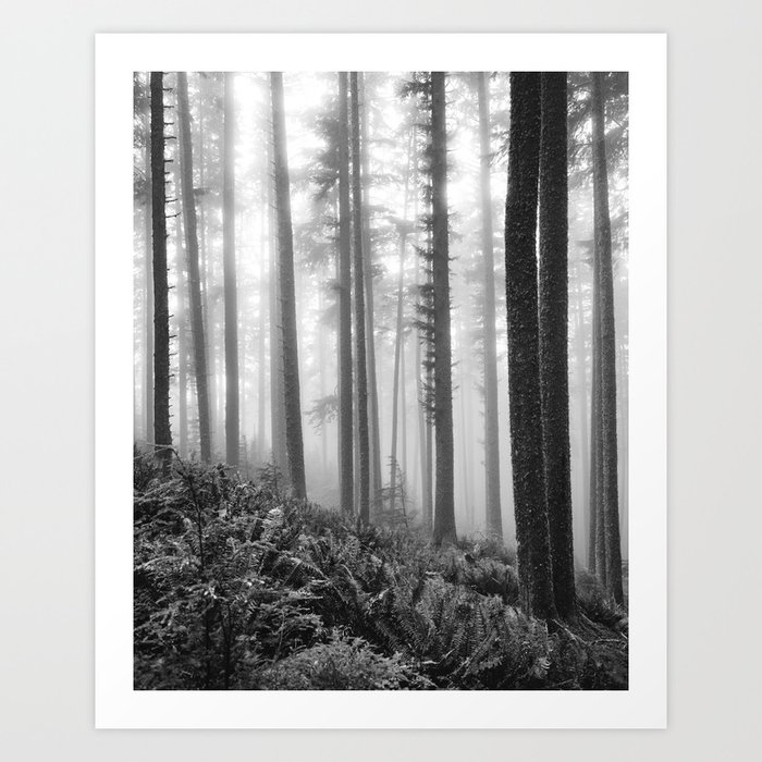Misty Forest Black And White Art Print By Thomaslawn Society6 Black and white,bw,clouds,fog,foggy,forest,mist,morning,nature,place for text,room for text,sad,space for text,trees,nature. misty forest black and white art print by thomaslawn