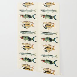 fish by Louis Renard Wallpaper
