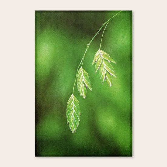 green Canvas Print
