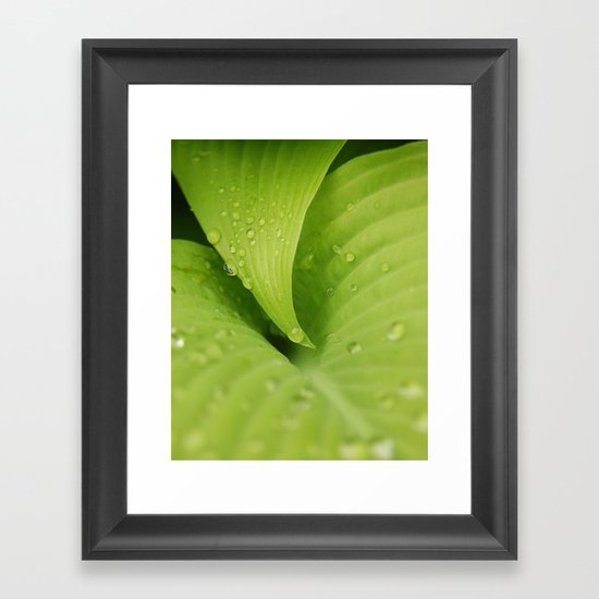 Dew Drops Framed Art Print