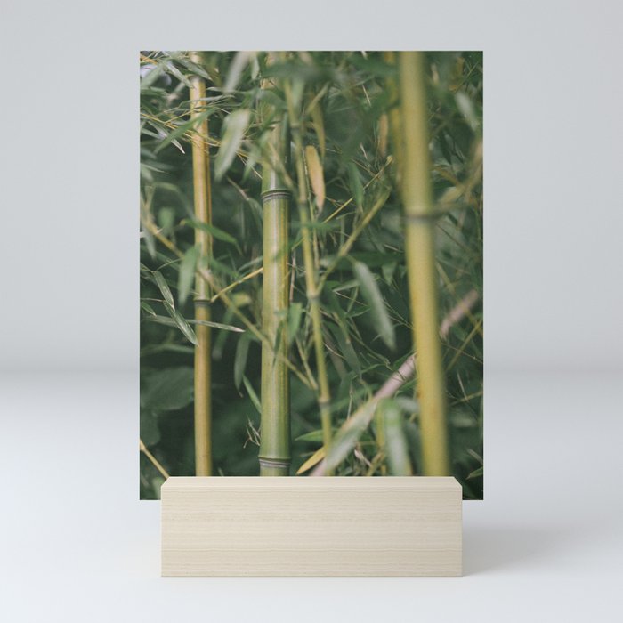 bamboo composition no.1 Mini Art Print