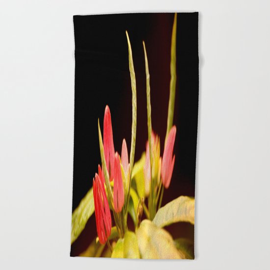 Exotic Colorful Flowers Beach Towel