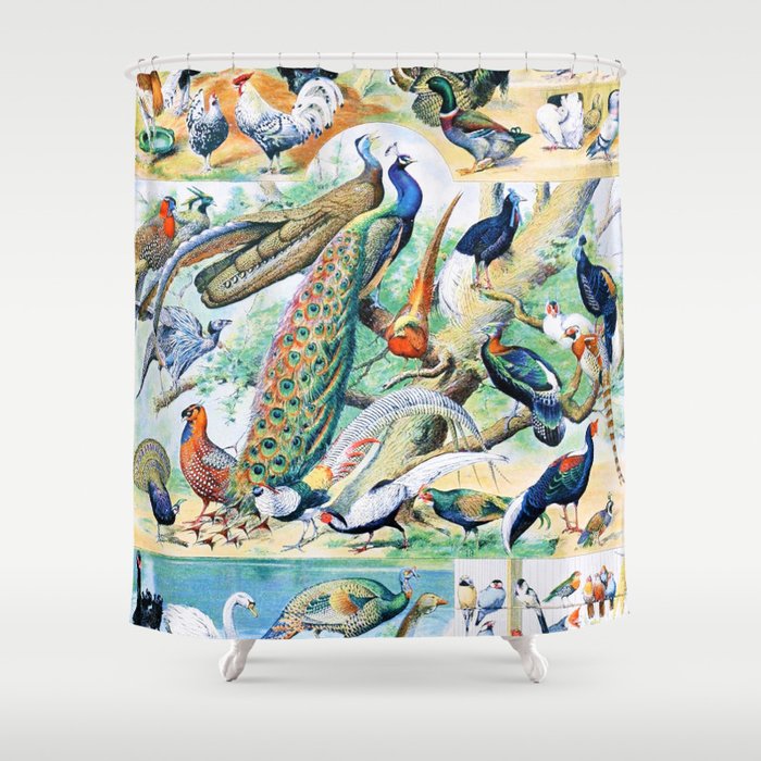 Adolphe Millot "Birds" 3. Shower Curtain