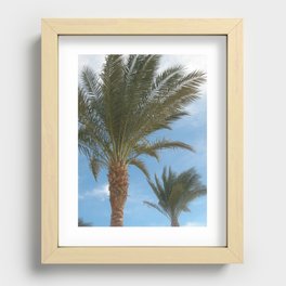 N.A. Palm 2 Recessed Framed Print