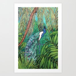 Plumage and Palmtrees Art Print