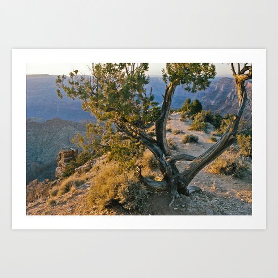 Treedom Art Print