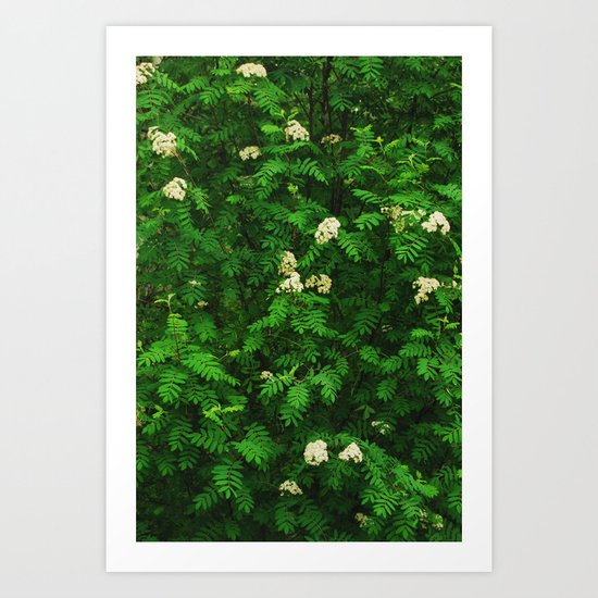 Greenery II Art Print