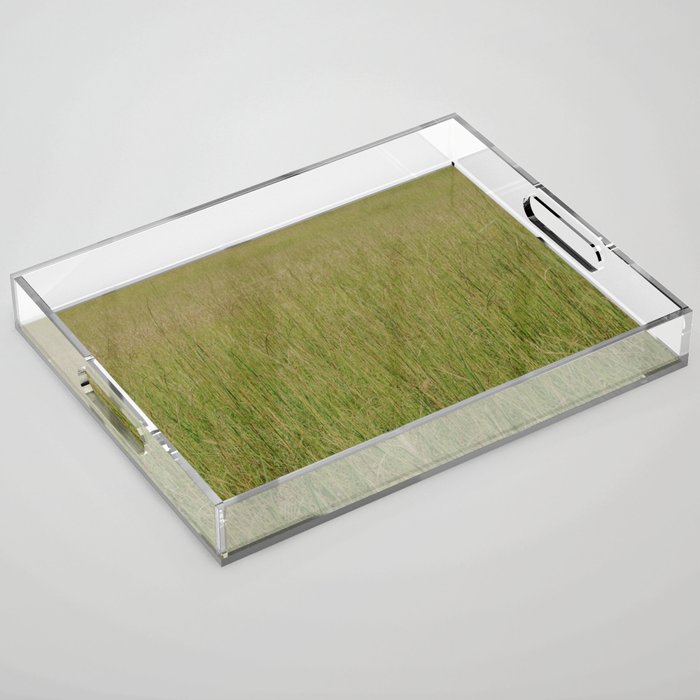 Leaves of Grass Acrylic Tray