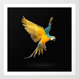 Macaw. Art Print