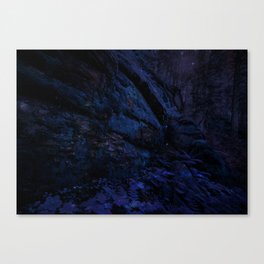 Enchanted Midnight Forest Wall Canvas Print