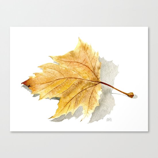 Autumn leaf Canvas Print