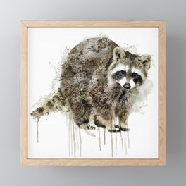 Raccoon Framed Mini Art Print