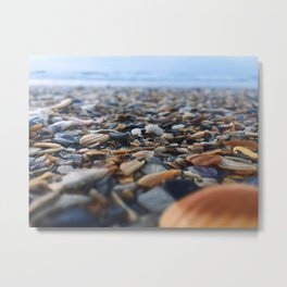 Sea You At The Beach Metal Print | Closeup, Seashells, Sea, Enviorment, Texture, California, Nature, Shells, Underwater, Natural 