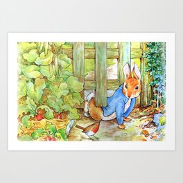 Peter the rabbit sneaking into the vegie garden Art Print