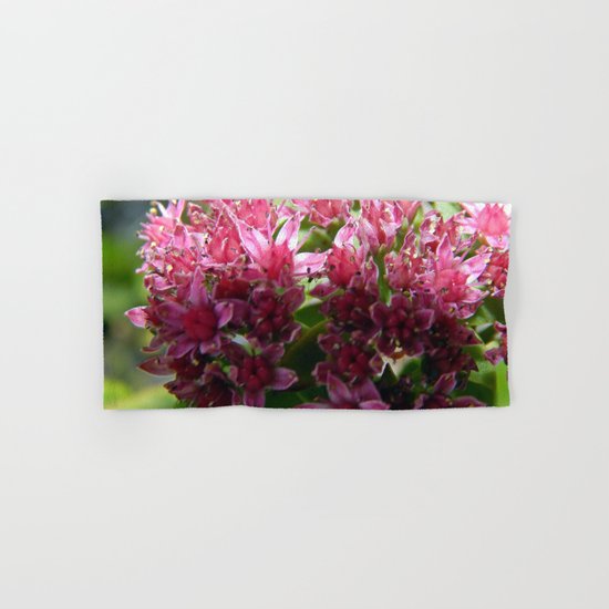 Sedum Flowers and the Ant Hand & Bath Towel