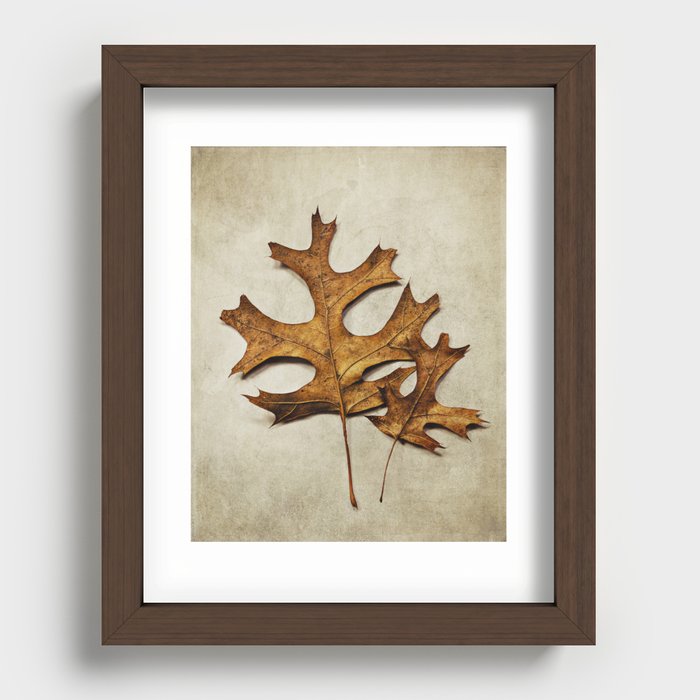 two oak leaves Recessed Framed Print