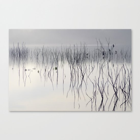 Waiting for the night Canvas Print