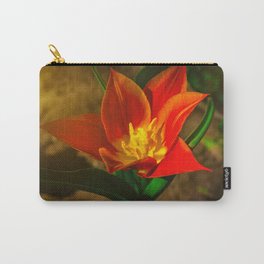 Red flower in the morning sun Carry-All Pouch
