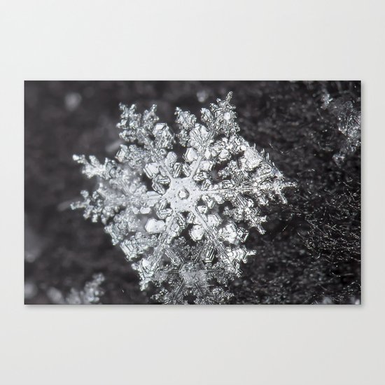 Sowflake closeup #4 Canvas Print