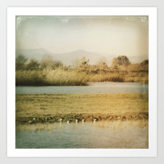 Natural world Art Print
