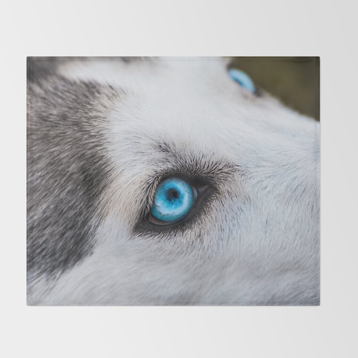 Siberian Husky Eyes Color Throw Blanket By Nocolordesigns