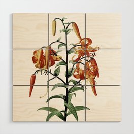 Vintage Tiger Lily Botanical Illustration on Pure White Wood Wall Art