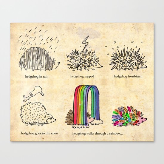 hedgehog goes rainbow Canvas Print